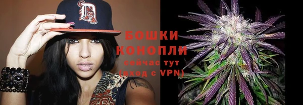 стаф Армянск