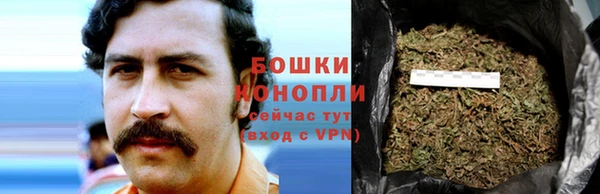 индика Арсеньев