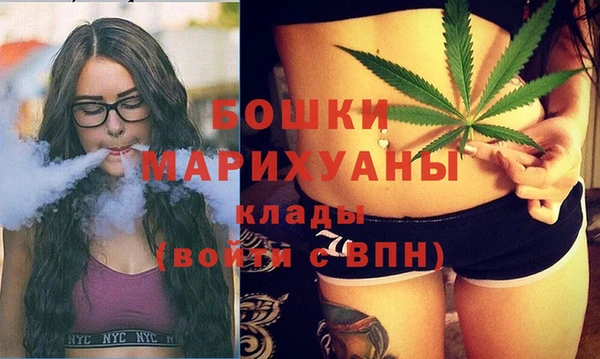 индика Арсеньев
