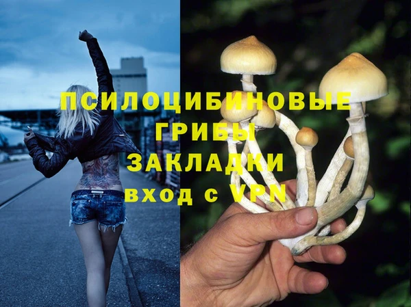 MDMA Premium VHQ Аркадак