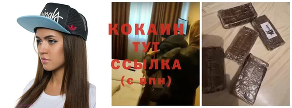 индика Арсеньев