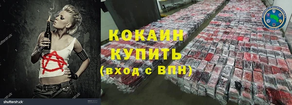 индика Арсеньев