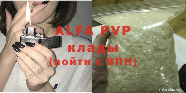 индика Арсеньев
