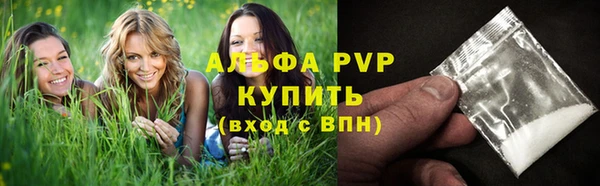 индика Арсеньев